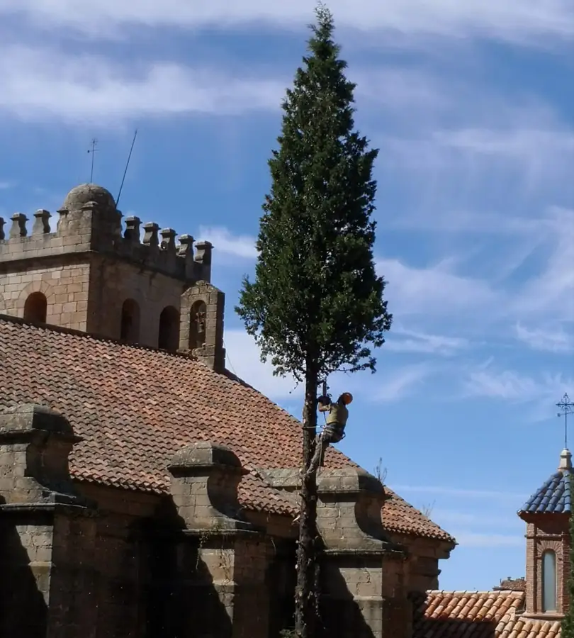 Trabajos forestales y medioambientales