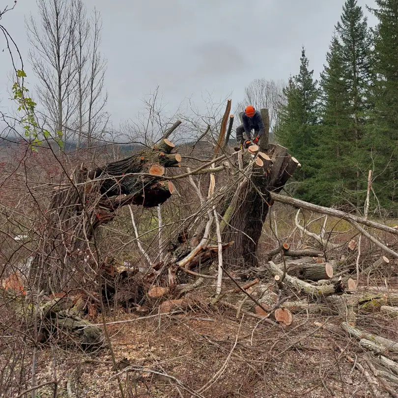 Triturados y Desbroces - IZALCO S.Coop