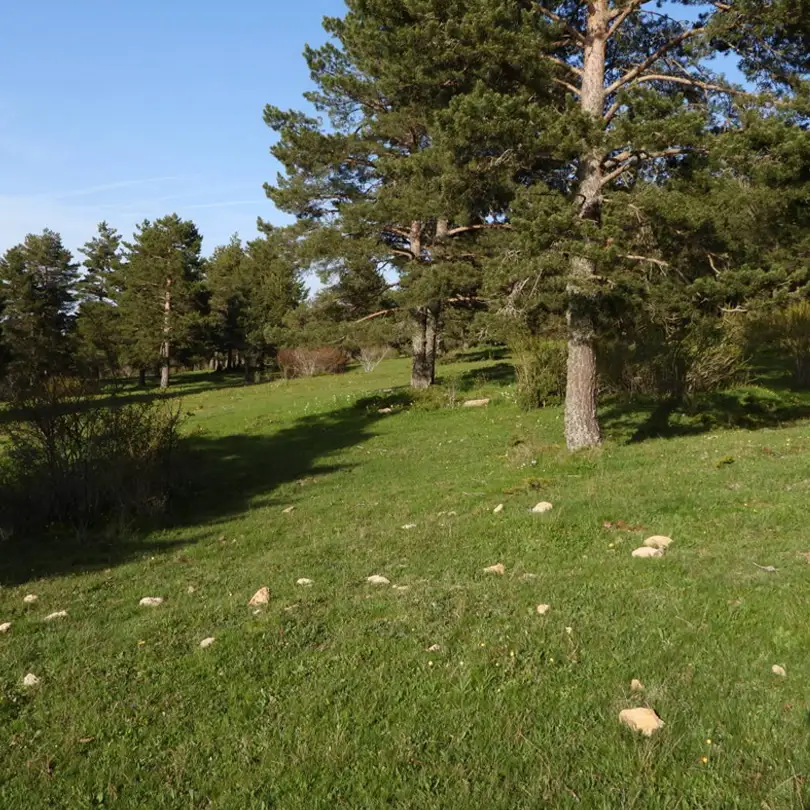 Mejoras de Pastizales - IZALCO S.Coop